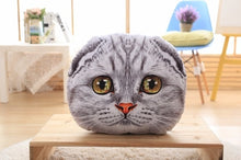 Load image into Gallery viewer, 40cm&amp;50cm Cat Pillow