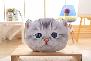 40cm&50cm Cat Pillow