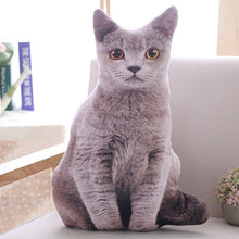 Load image into Gallery viewer, Kawaii Plush Cat Pillows