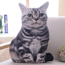 Load image into Gallery viewer, Kawaii Plush Cat Pillows